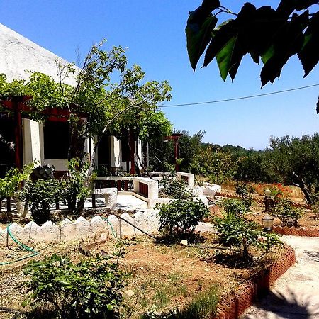 פלקסטרון Sunrise Apartments מראה חיצוני תמונה