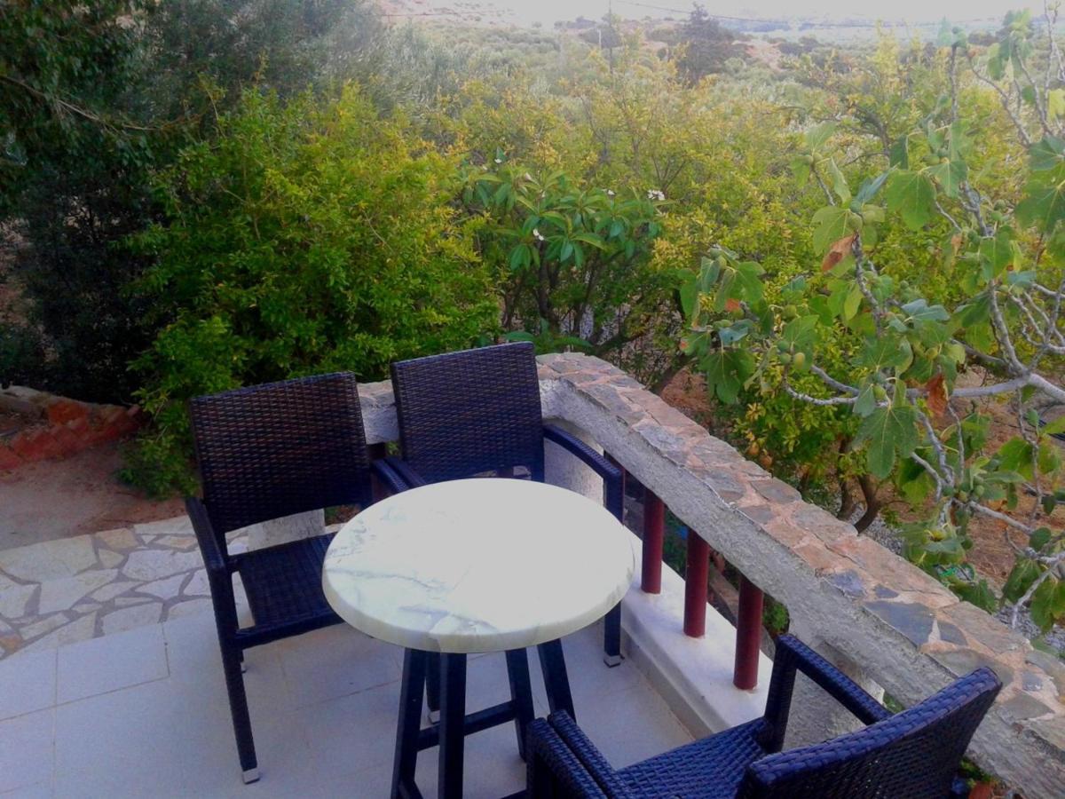 פלקסטרון Sunrise Apartments מראה חיצוני תמונה