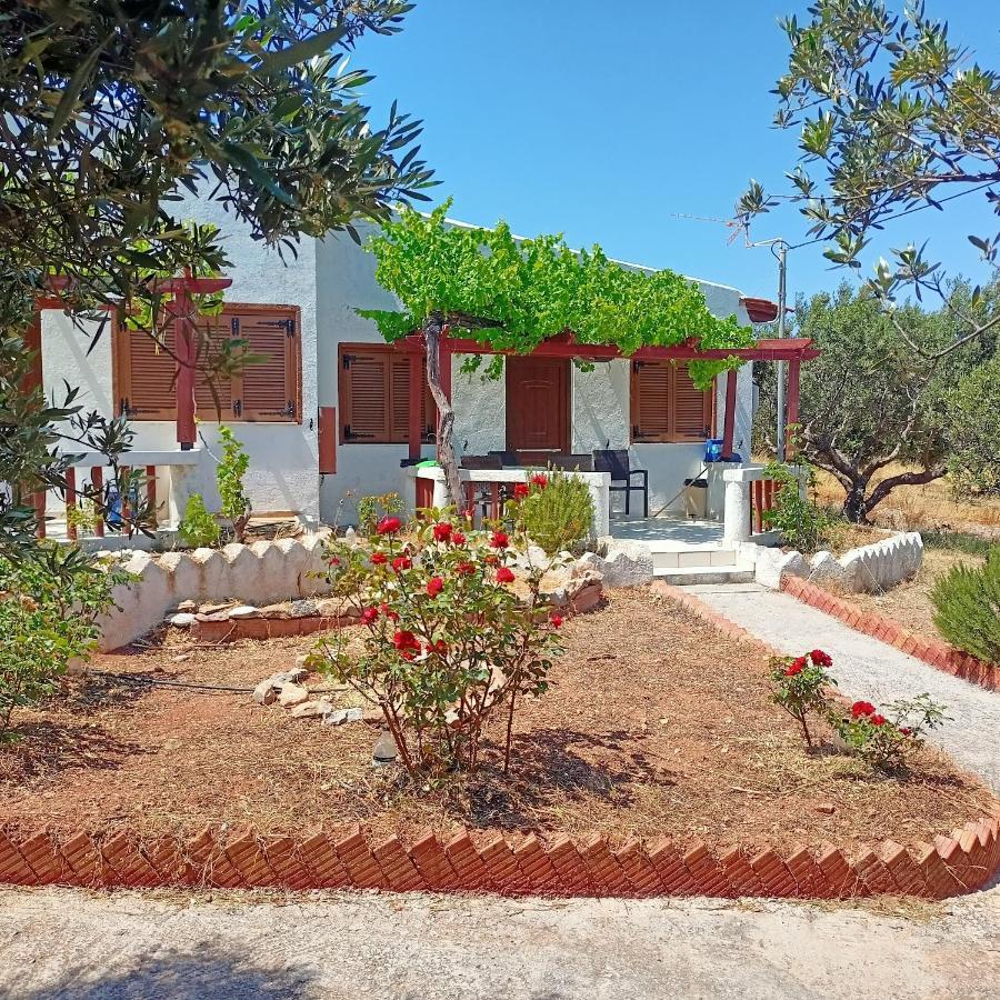 פלקסטרון Sunrise Apartments מראה חיצוני תמונה