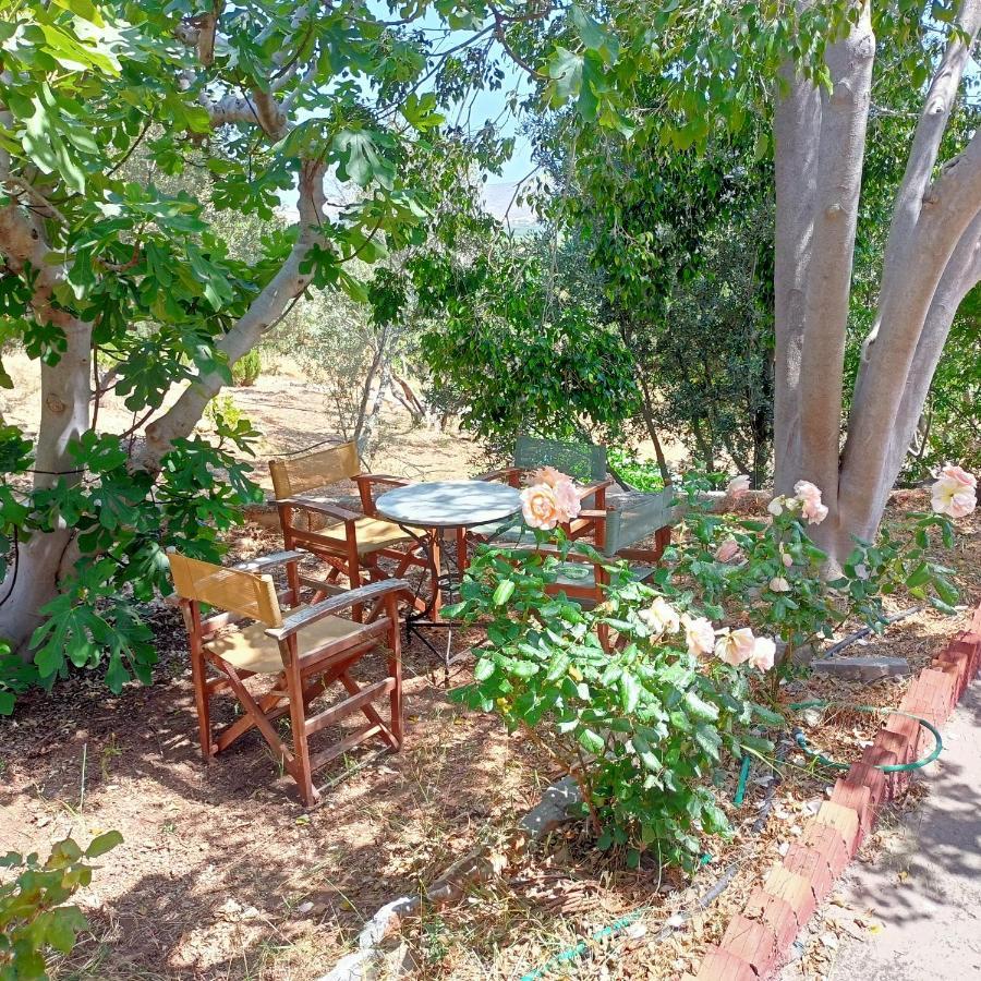 פלקסטרון Sunrise Apartments מראה חיצוני תמונה