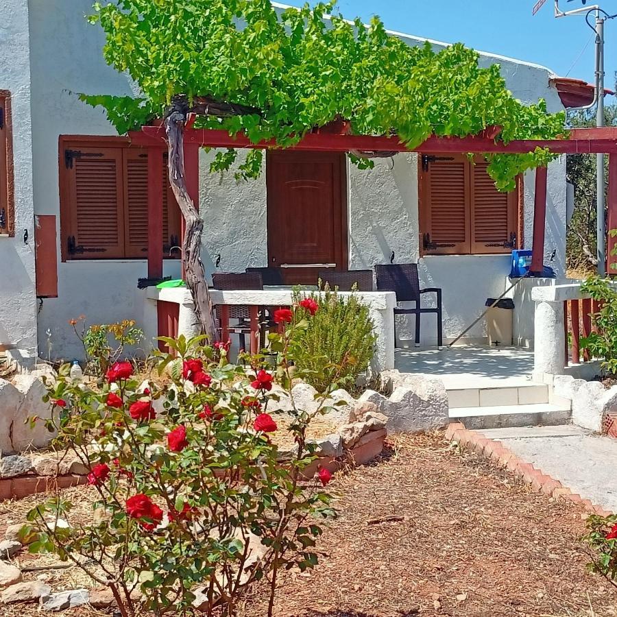 פלקסטרון Sunrise Apartments מראה חיצוני תמונה
