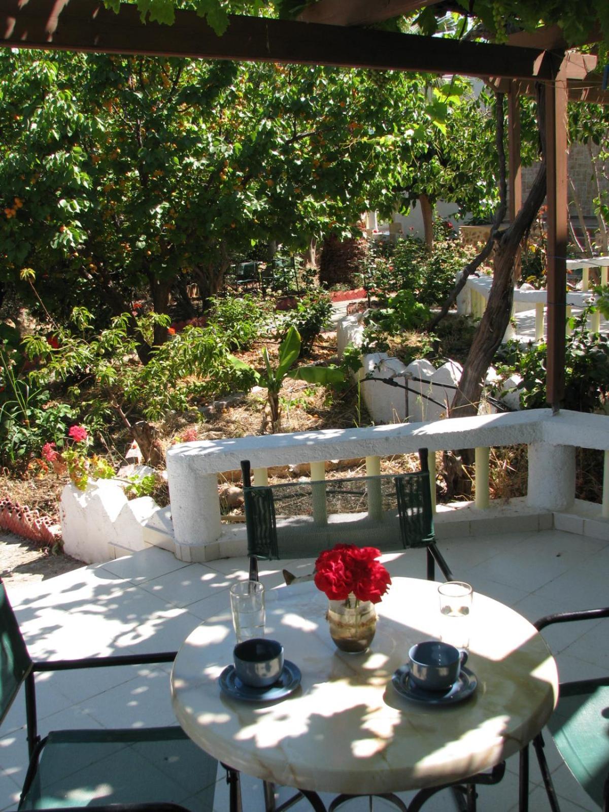 פלקסטרון Sunrise Apartments מראה חיצוני תמונה