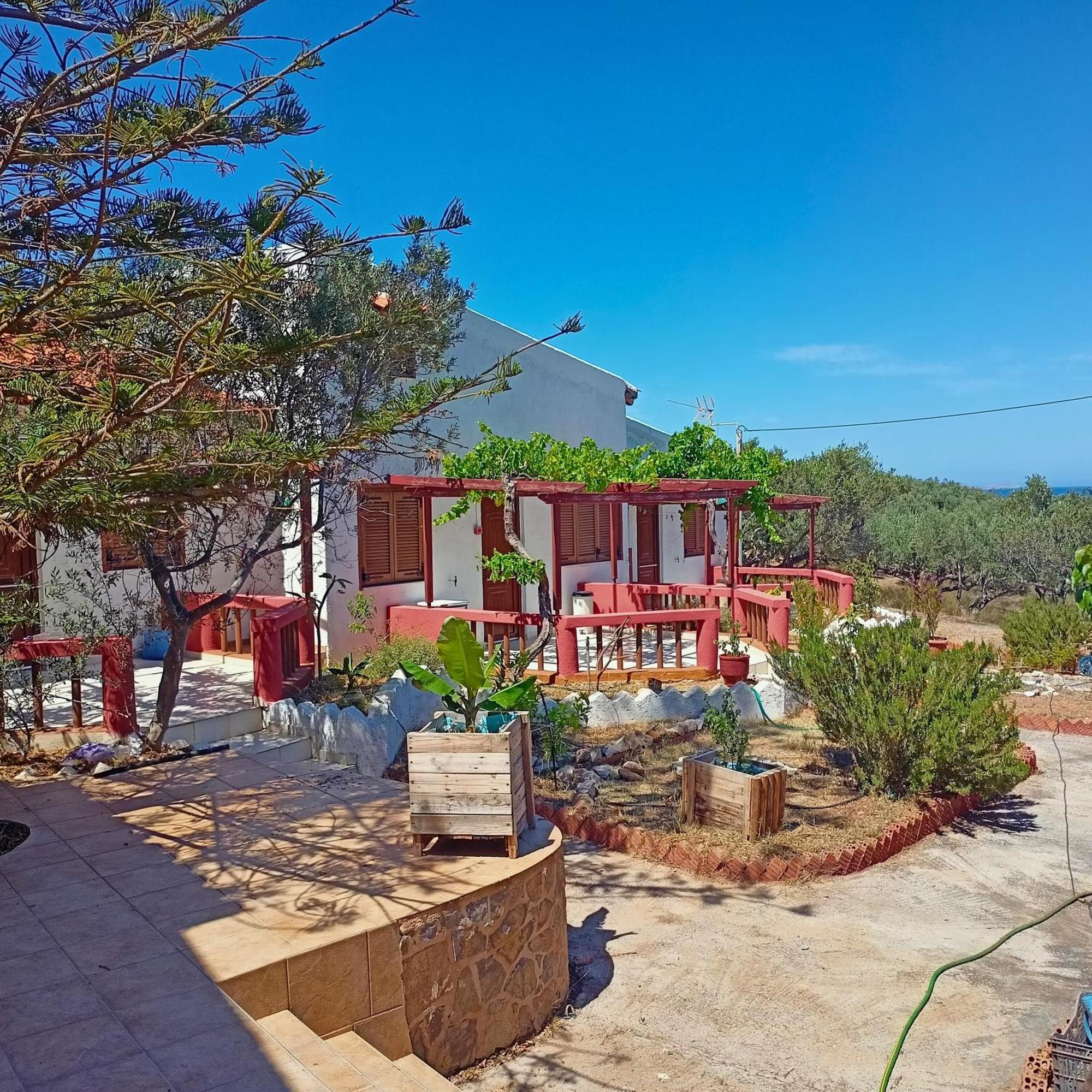 פלקסטרון Sunrise Apartments מראה חיצוני תמונה