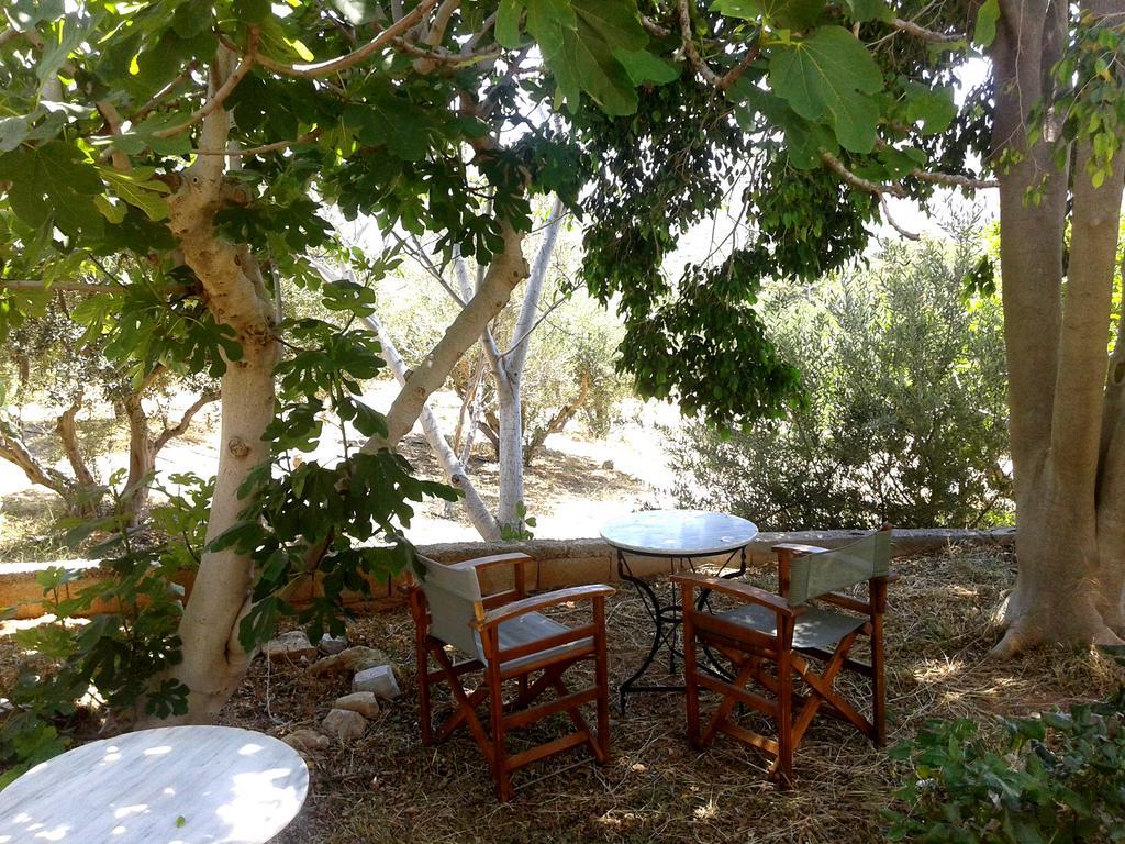 פלקסטרון Sunrise Apartments מראה חיצוני תמונה
